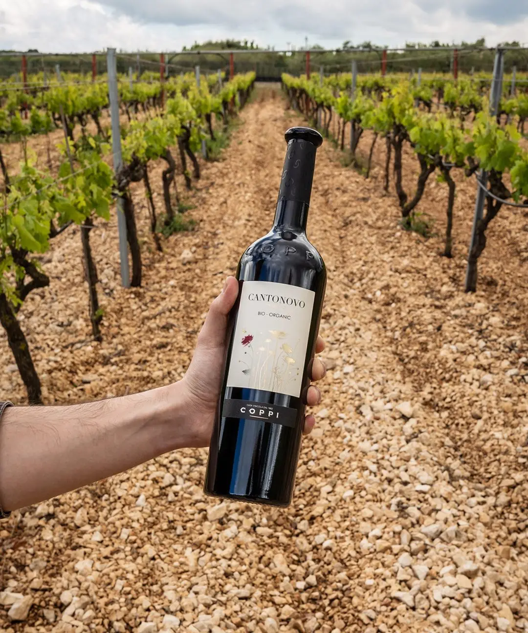 
Primitivo ORGANIC Bio 