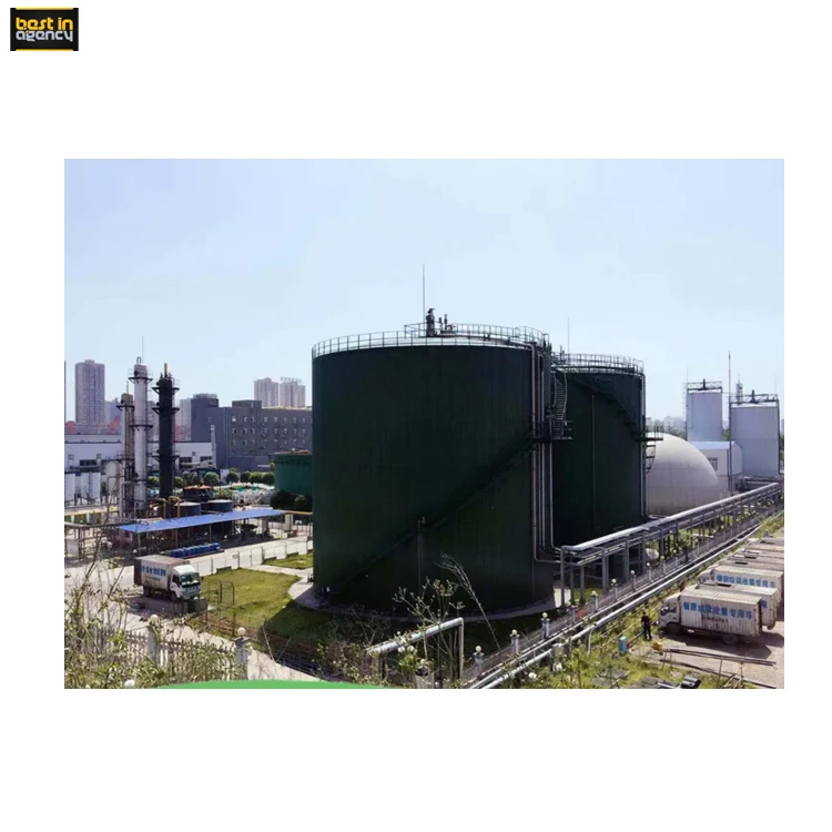 Biogas Project 20000 Nm3/Day Production Anaerobic Reactor Tank Type Biogas Plant Under EPC Mode
