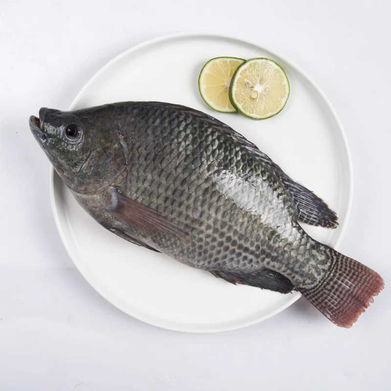 Seafoods And Frozen Food Exporter Whole