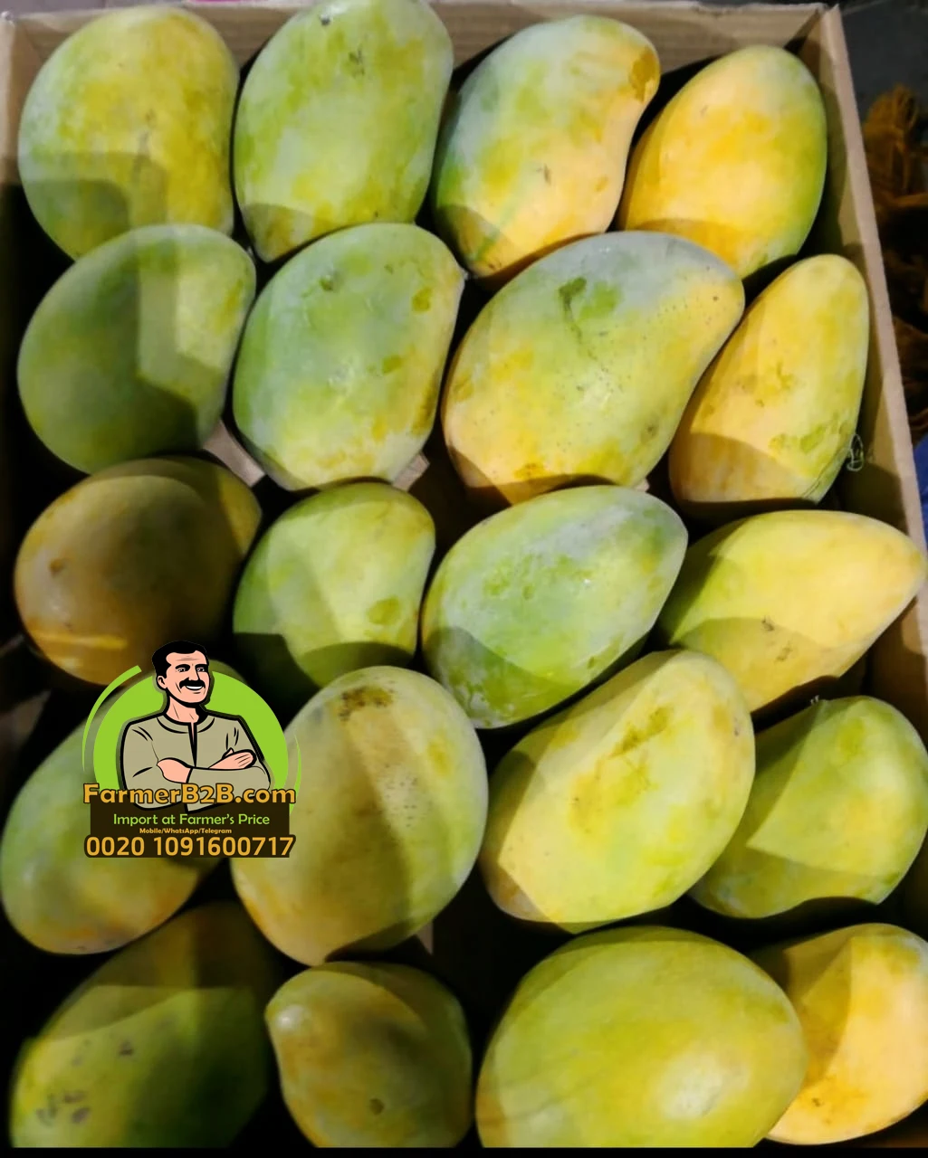  Высококачественный Свежий манго Alphonso для
