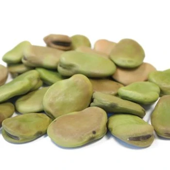 Дешевая сушеная фасоль лучшего качества для продажи