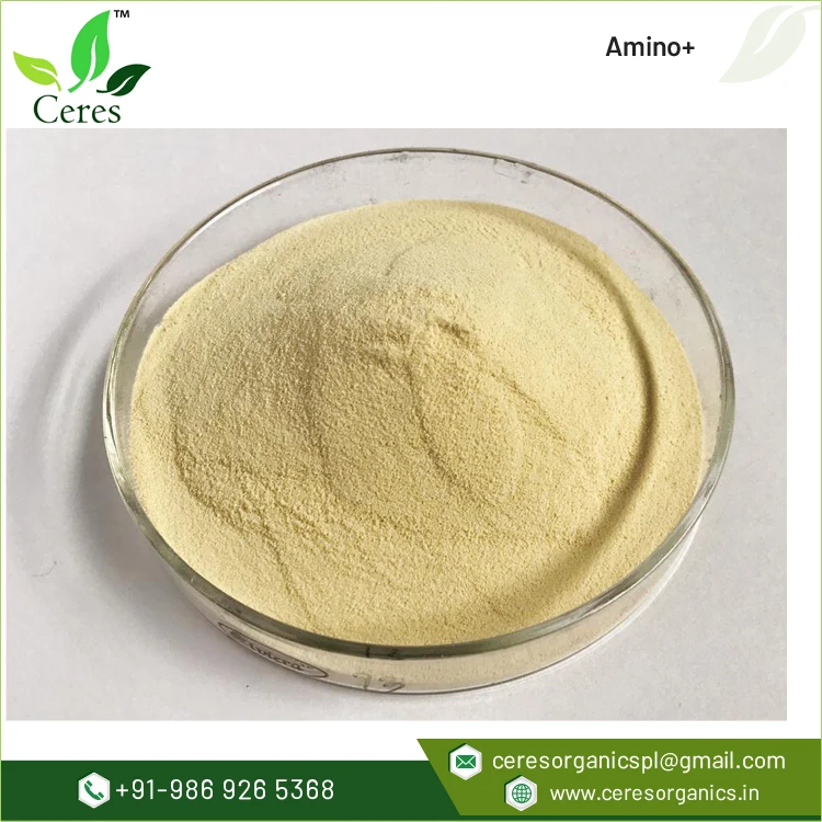 Creamy White Color Soy Protein Hydrolysate Amino+ to Promotes Uptake of Micro and Macro Nutrients