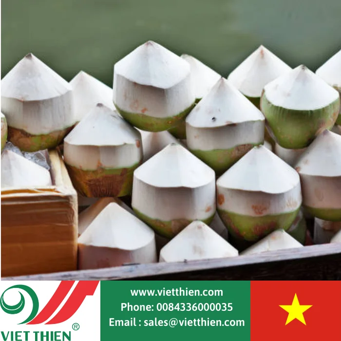 Good price fresh coconut grown by organic method, wholesale supply in large quantities around the world, origin Vietnam