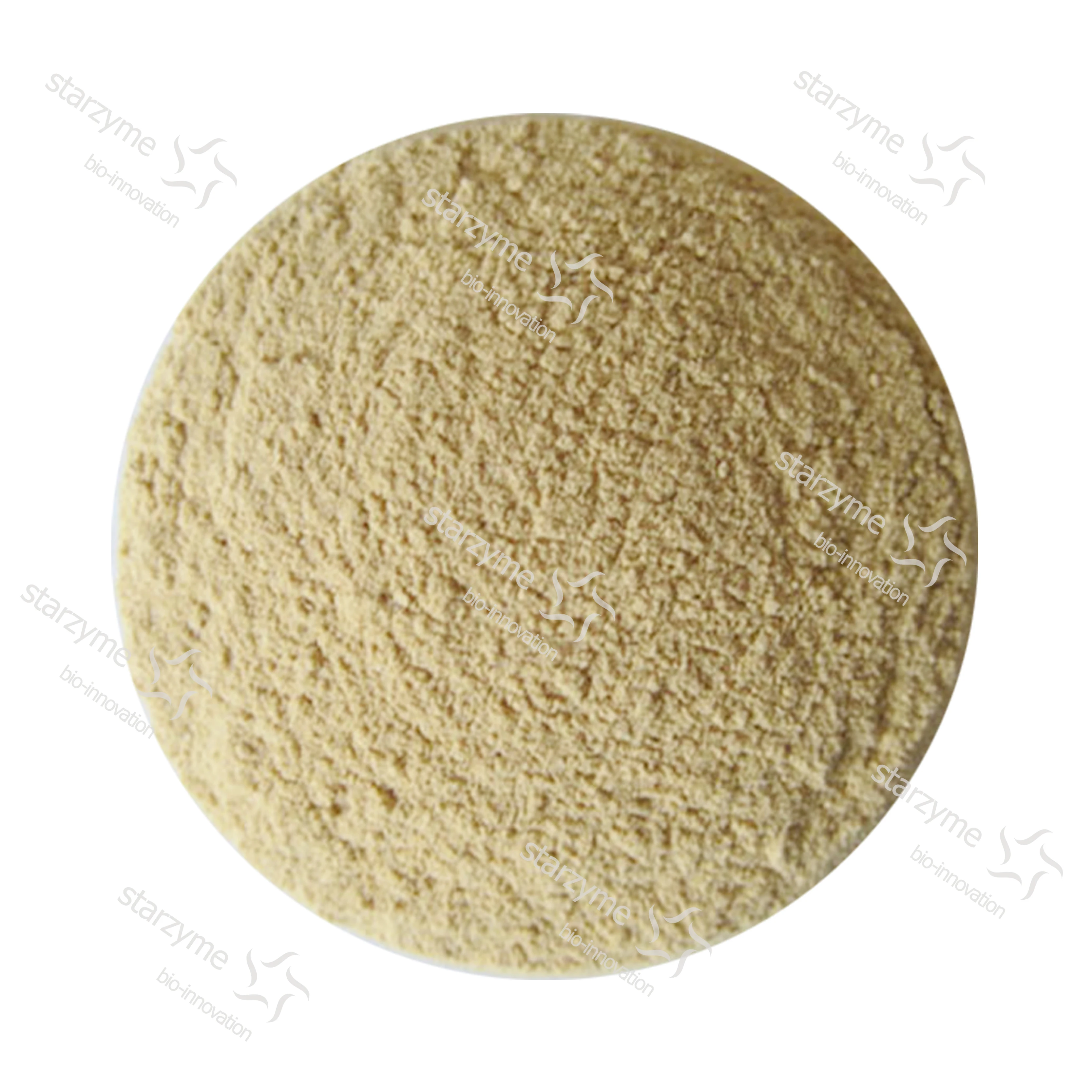 High Concentration Feed Grade Enterococcus Feacalis Powder