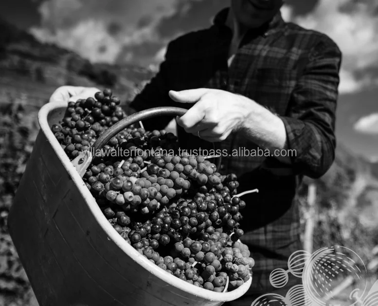  Лучшее итальянское качество 1 поддон настольное вино Nebbiolo