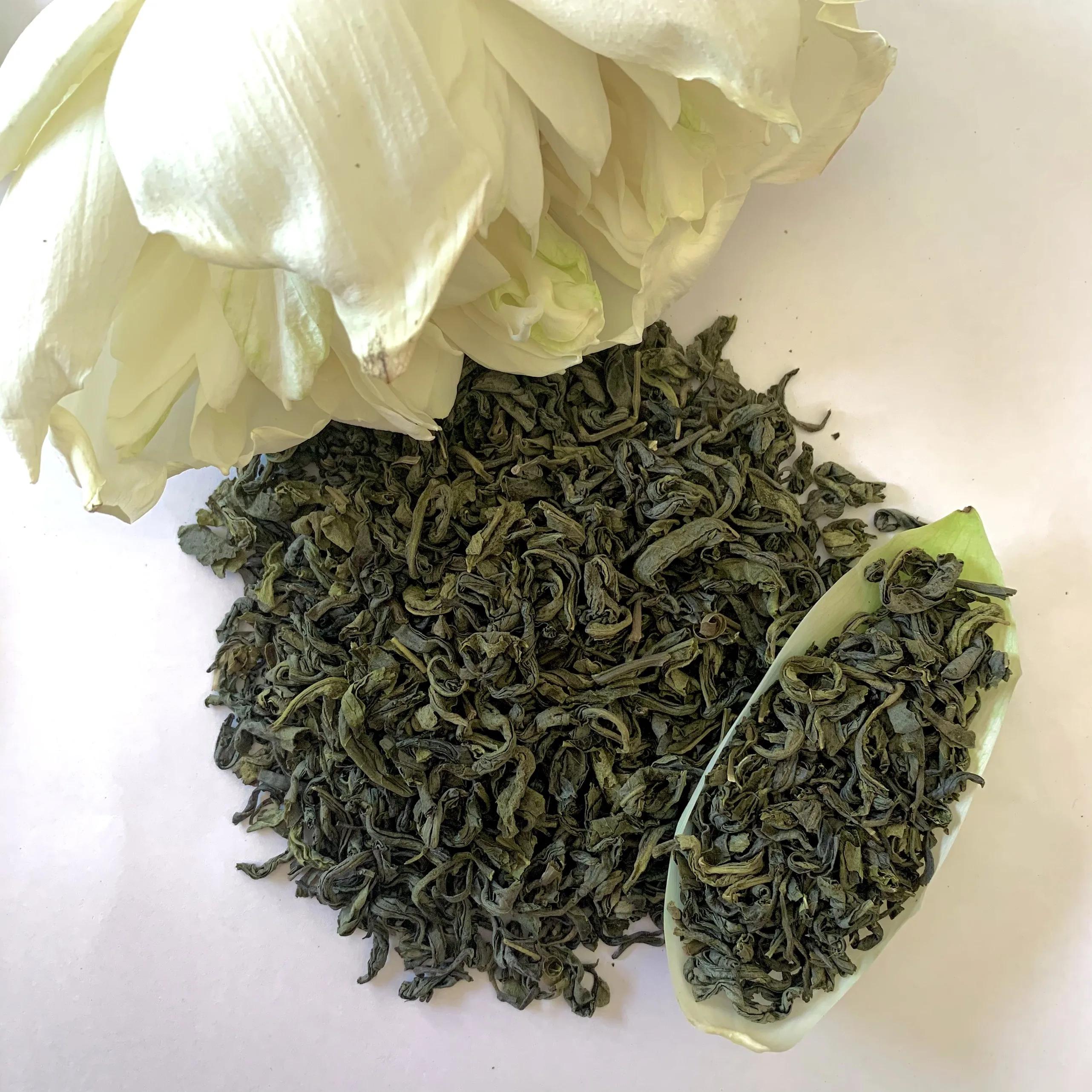 Green Tea Leaves For Pakistan Market from 1.42 usd per kg Good Price Good quality