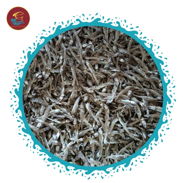 Low Price Wholesale Dried Salted Anchovy Fish With High Quality Made In Vietnam Accept LCL Shipping