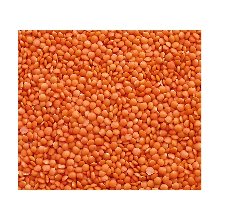 Wholesale Best Quality Whole And Split Red Lentils For Sale In Cheap Price