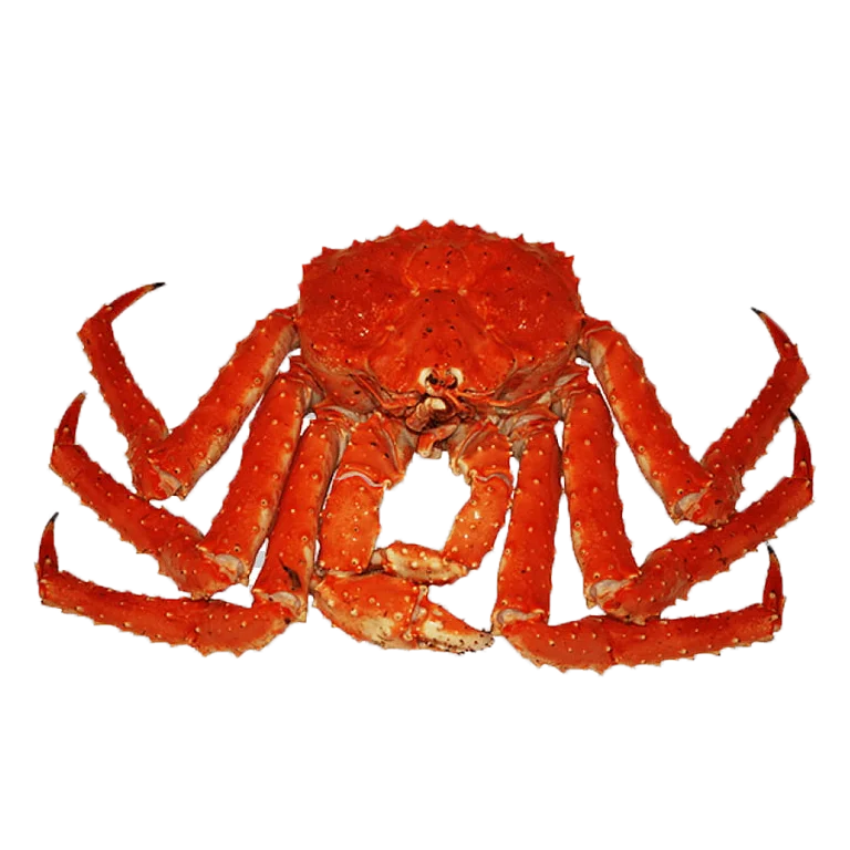 100% лучшее качество оптовый поставщик морепродуктов Королевский Краб замороженного цвета для продажи по низкой