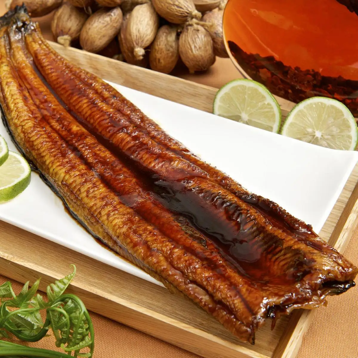 Frozen EEL for sushi Japan food IQF live fish