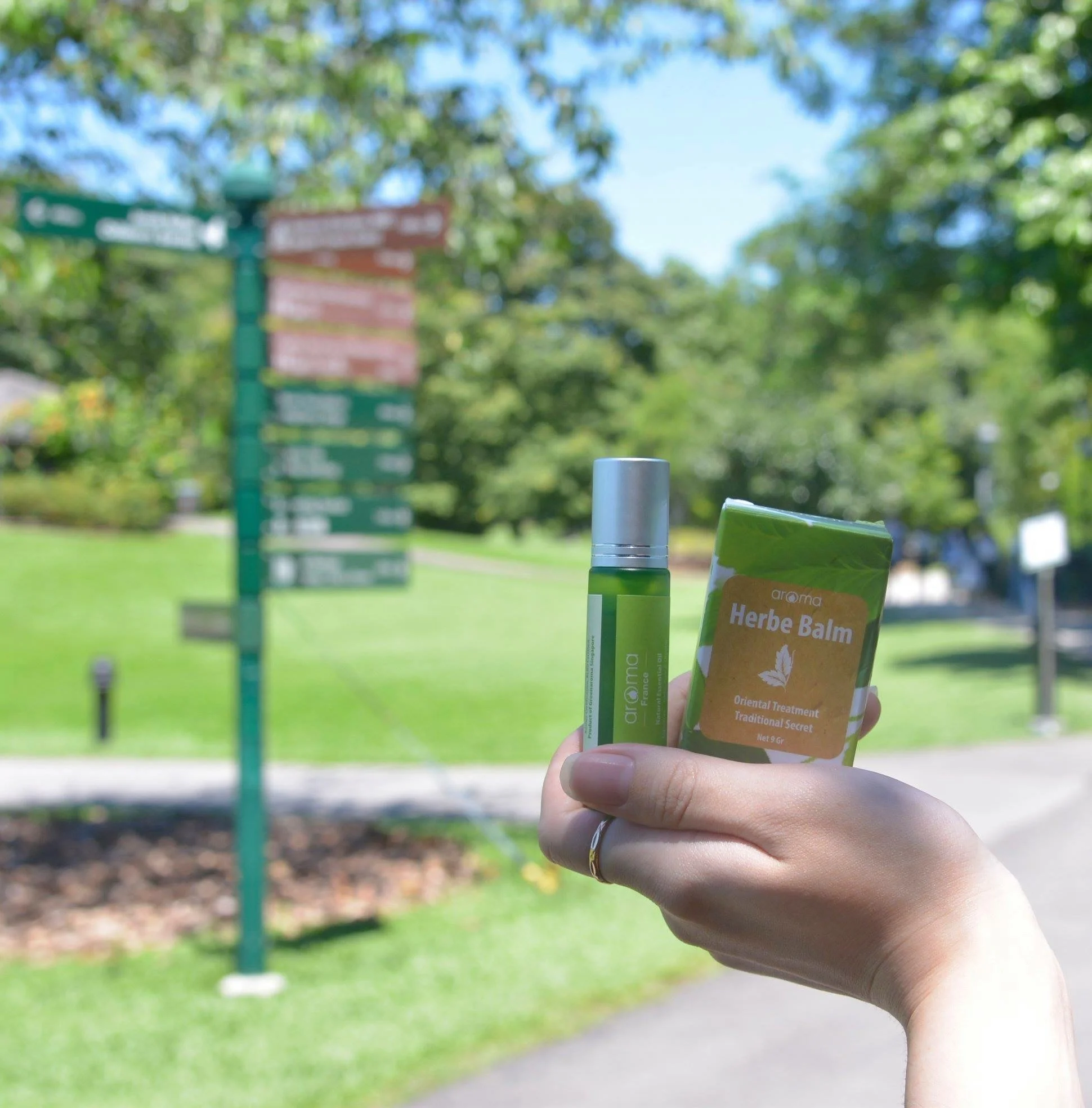  Лучшая цена масло для эфирных масел Cajeput теплое 100% чистое органическое заводское медицинское обслуживание оптовая продажа эфирное 100 эвкалиптопочва