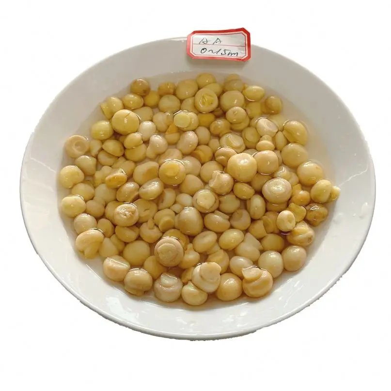 
Mushroom agaricus in converse 