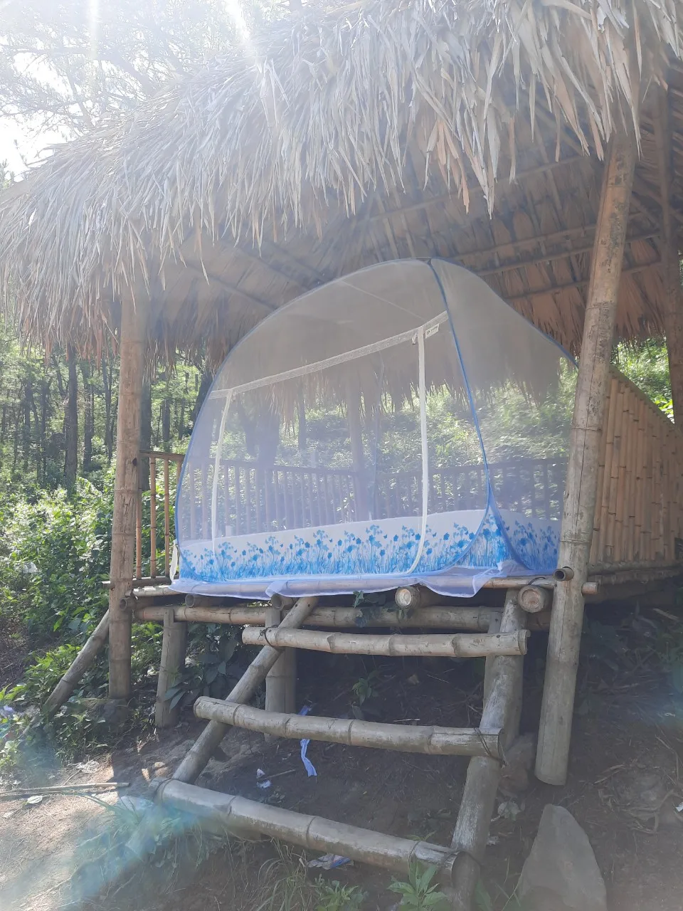 Of self-expanding mosquito nets, smart and convenient wholesale, mosquito nets made in Vietnam