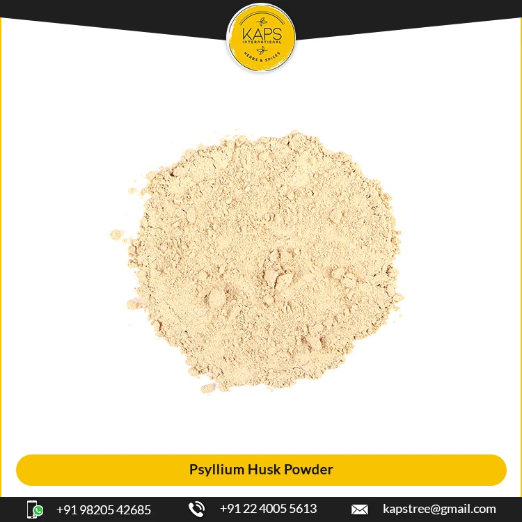Оптовый Поставщик лидер продаж порошок шелухи псиллия из Индии