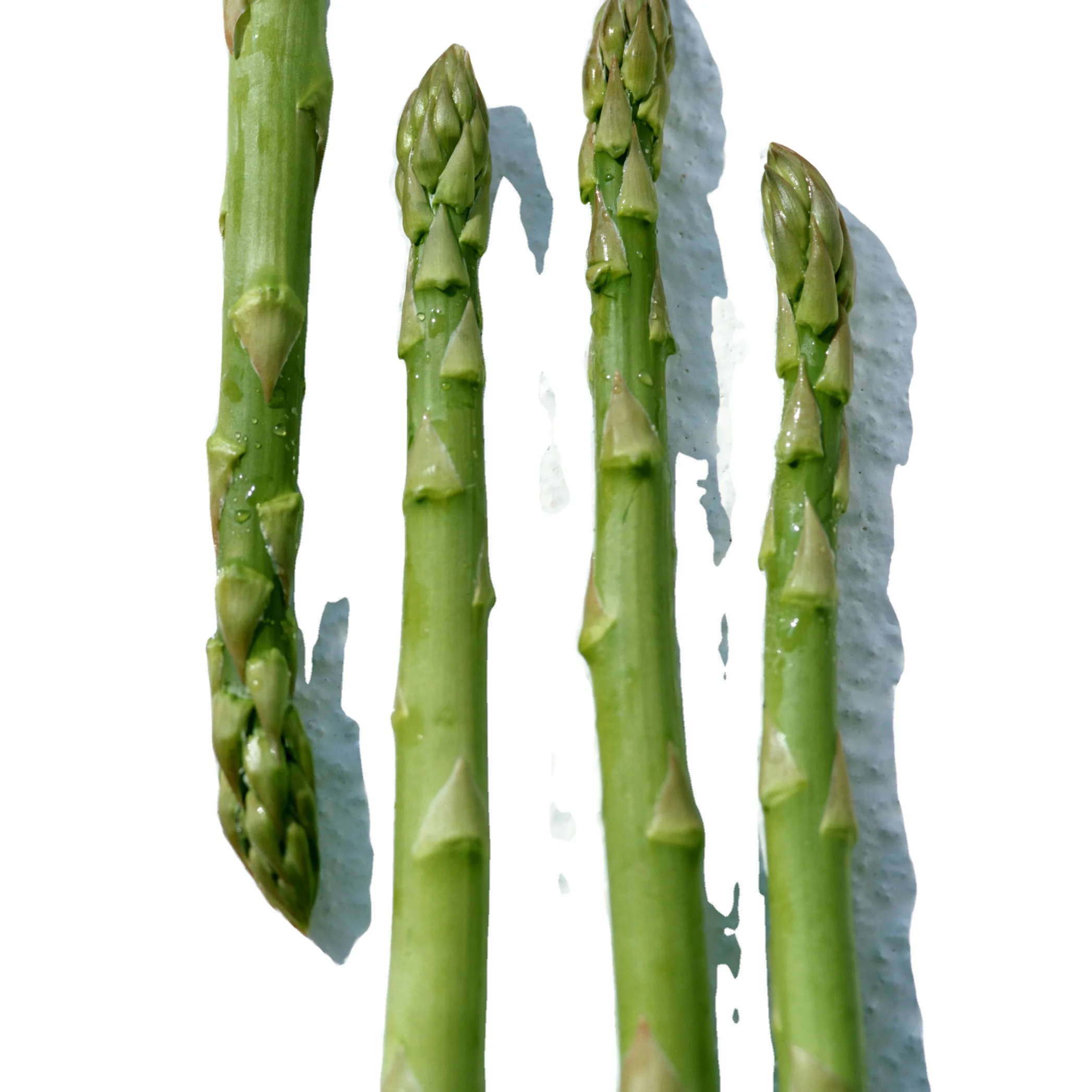 FRESH ASPARAGUS / FROZEN - MS. ELAINE +84 375 431 541