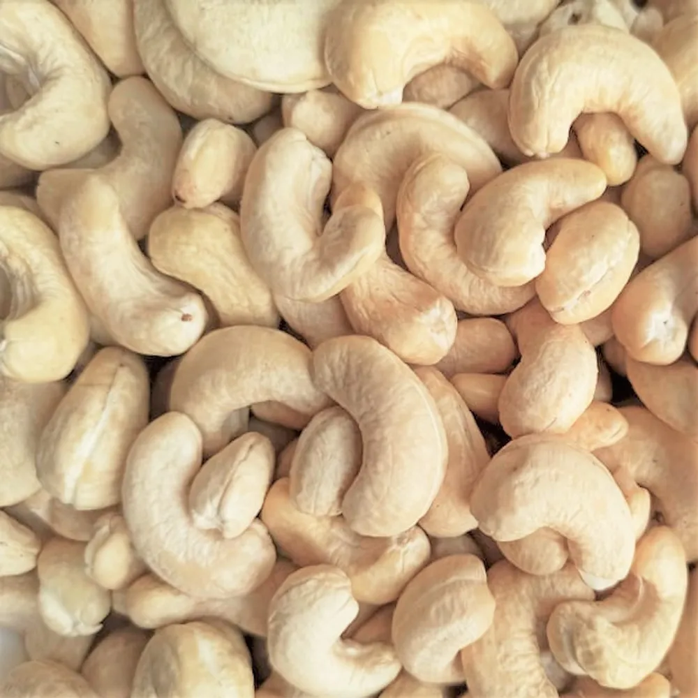 
Cashew Nuts for wholesale (W240) from Vietnam / All sizes and Carefully packaged (As requires) 