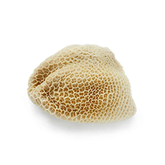 High Quality Grade Salted and Dried Cow Omasum - Beef Omasum / Frozen Beef Omasum