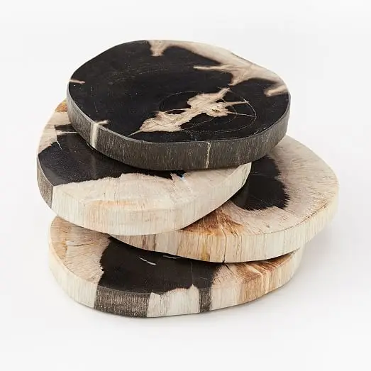 Natural Round Petrified Wood Glass Coasters