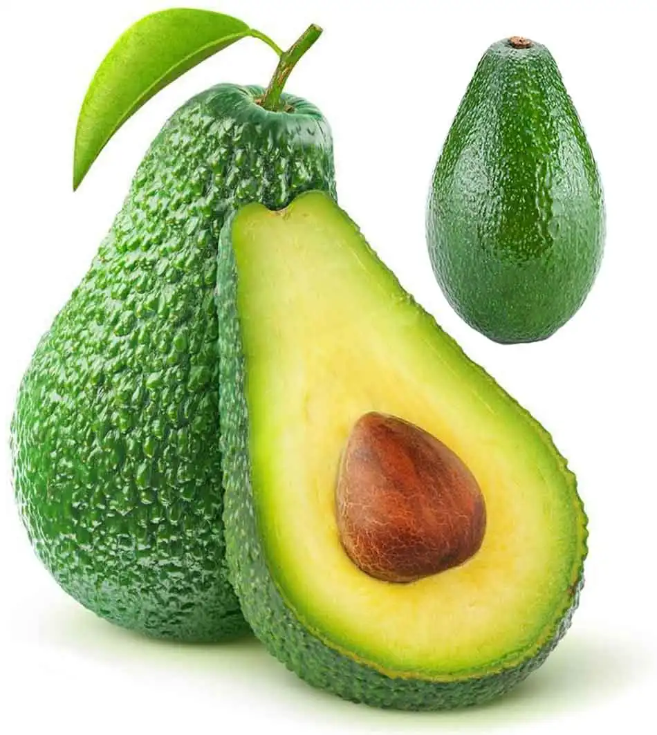 AVOCADO HASS FRESH Aguacate PALTA Fresh Fruit Hass Avocados from Mexico Premium Box All Size Calibers
