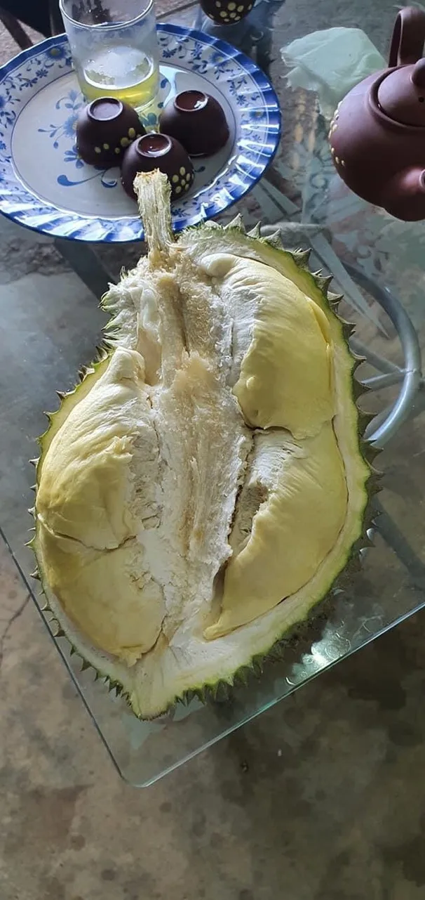 Fresh King Durian Vietnam лидер продаж богатые питательные средства высокое качество оптовая цена бесплатный налог в Корею США ЕС Японию Канаду Австралию
