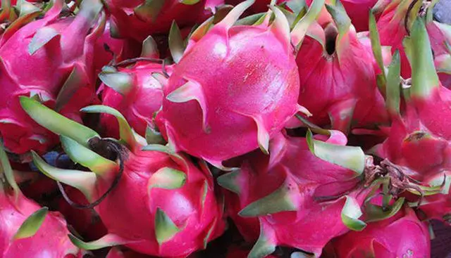 Vietnam Dragon Fruit 100% Fresh Super Delicious Taste Premium Quality Dragon Fruit Natural Fresh Sweet Low-calorie Fruit