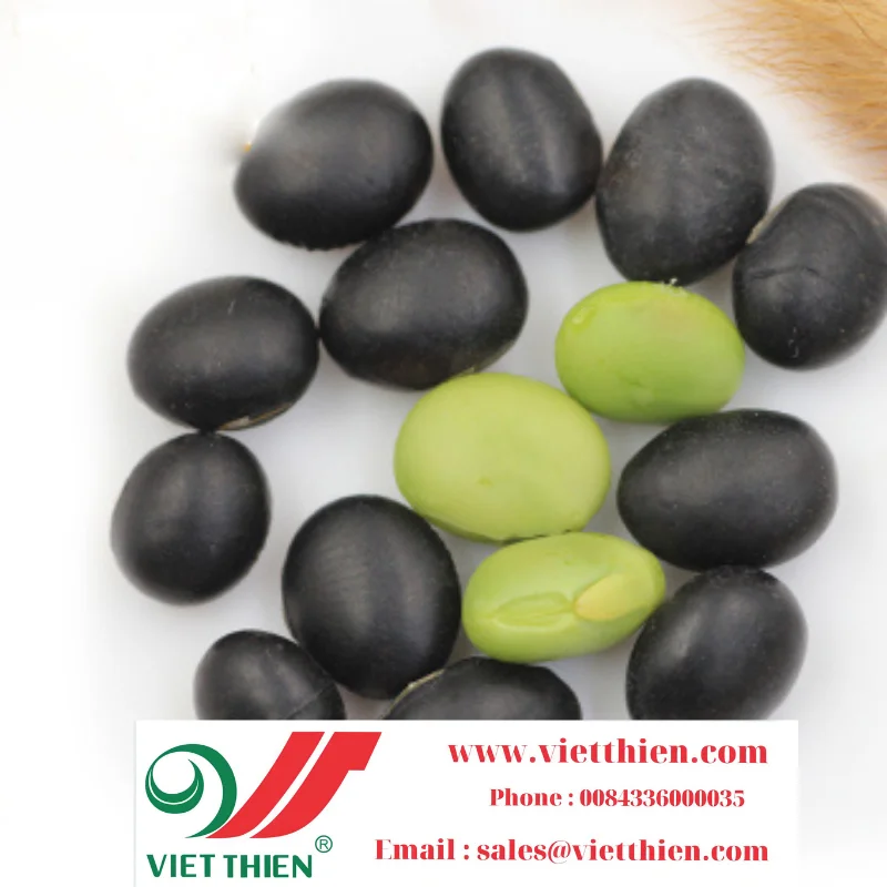 Black beans with green yolk are produced in large quantities at reasonable prices to ensure safety and quality