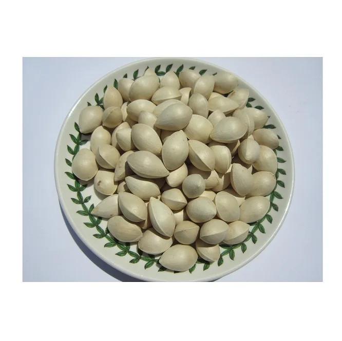 Bulk Quantity Of Organic Dried GINKGO NUTS Available Here At Best Prices
