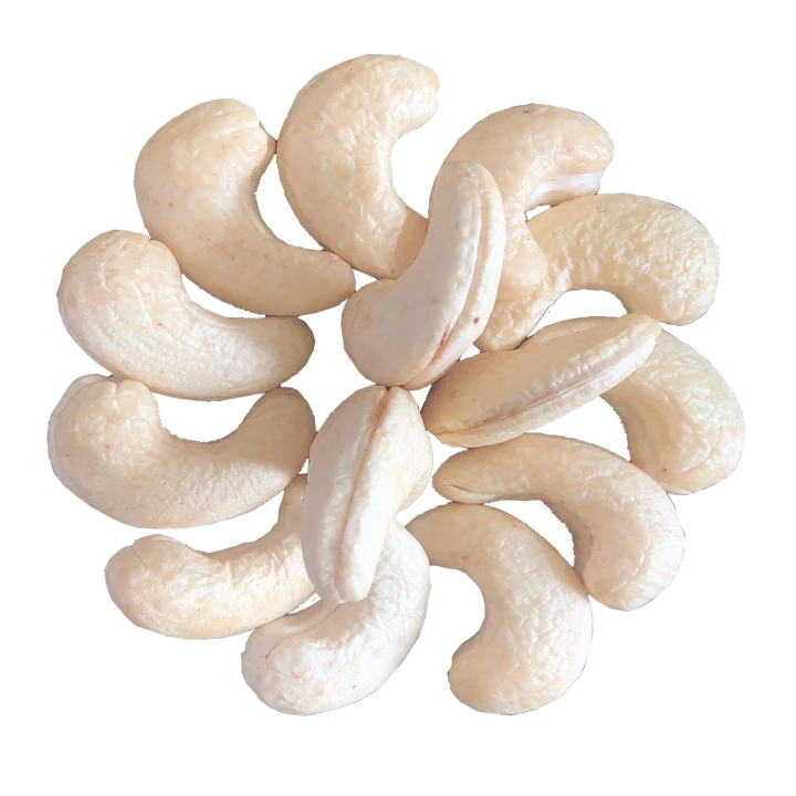 High Quality Cashew Nuts W180 W210 W240 W320 W450 for wholesale from Vietnam