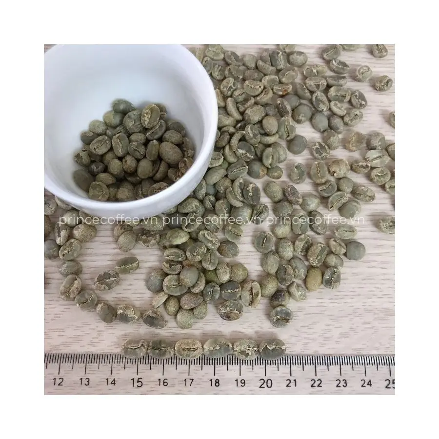 Новое поступление 18 зеленых кофейных зерен scr высококачественные вьетнамские зеленые кофейные зерна необработанный кофе