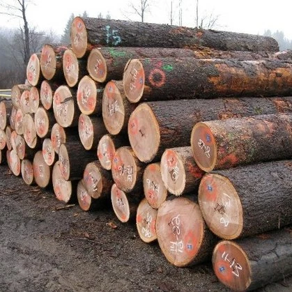 Eucalyptus Hardwood Softwood Round Wood Logs Natural