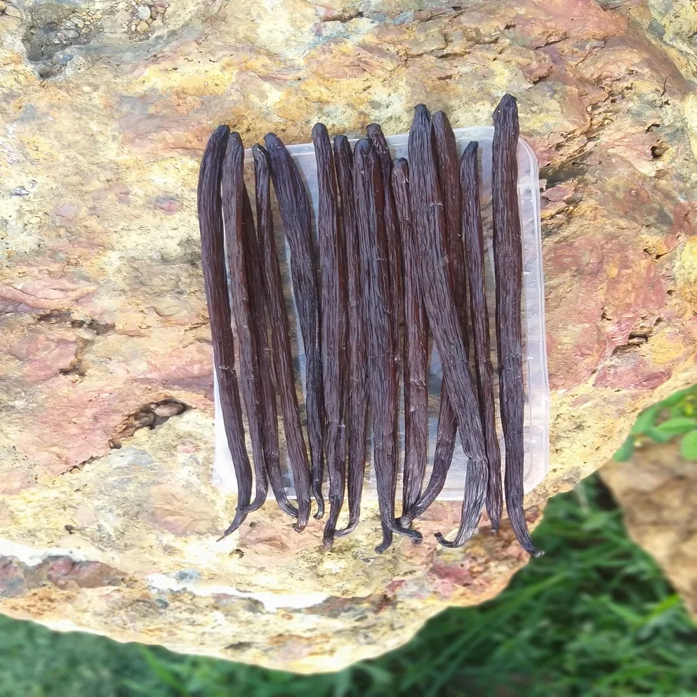 Organic Madagascar Bourbon Real Vanilla Bean Pods 10 count