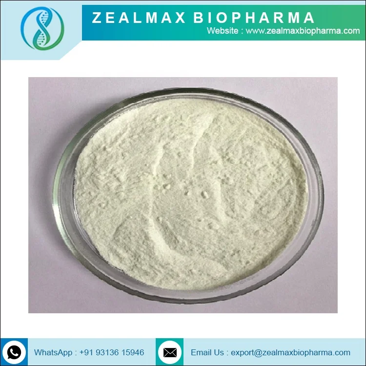 Активный продукт для фермента лактазы покупайте по оптовой цене-Zealmax Biopharma