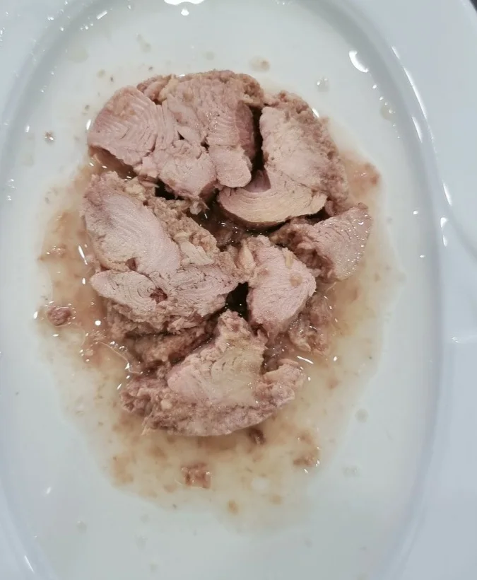 Canned Tuna Chunk In vegetable oil 160g