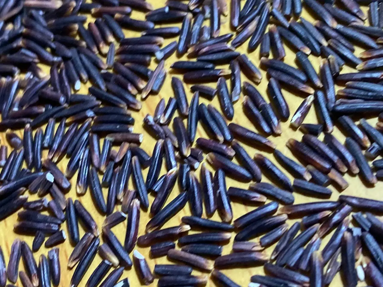 
Black Rice Vietnamese Rice Export Wholesale Rice - Whatsapp 0084 923 158 607 