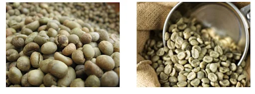 Зеленый кофе в зернах с арабикой S16/18