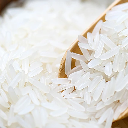  Vietnam export cheap price rice long grain white 25% broken