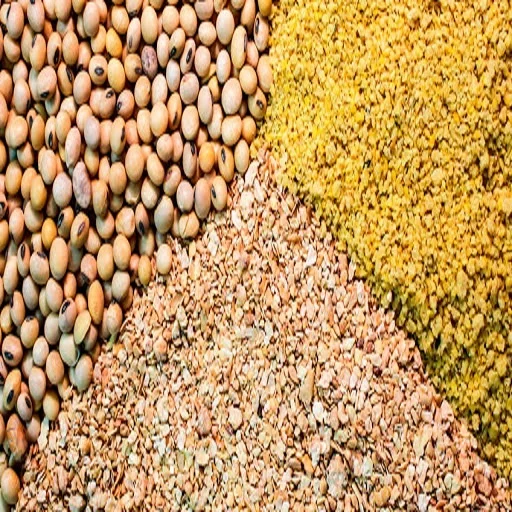 Top quality wheat bran for animal feed