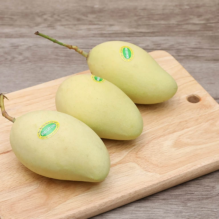 Viet Nam Mango High Quality Premium Cat Chu Mango from Vietnam 100% Natural Sweet OEM Private Label