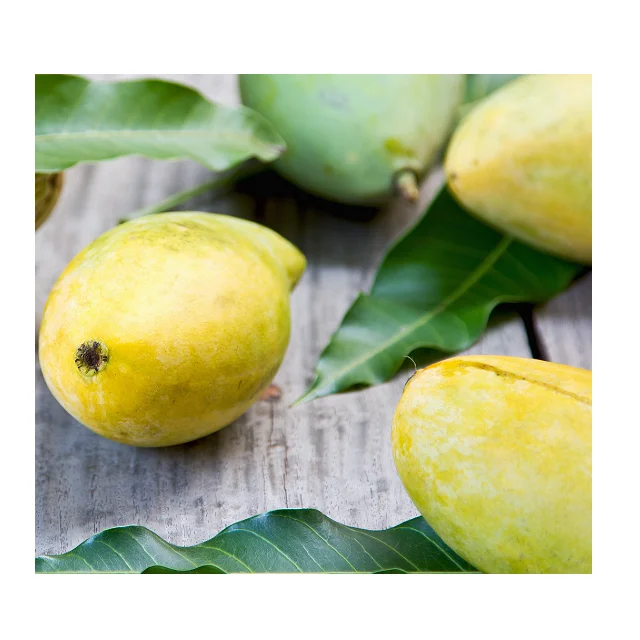 Cheap Wholesale Price Keitt Pakistani Mangoes In Bulk