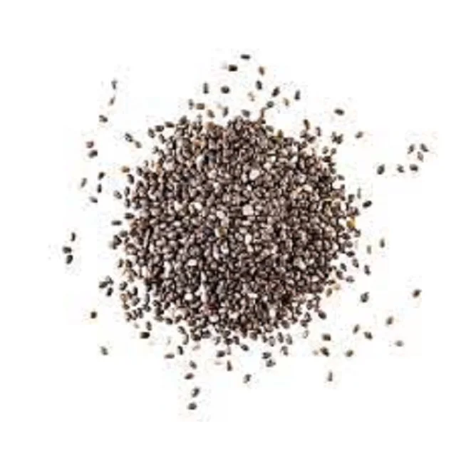 Семена ЧИА SALVIA HISPANICA оптом