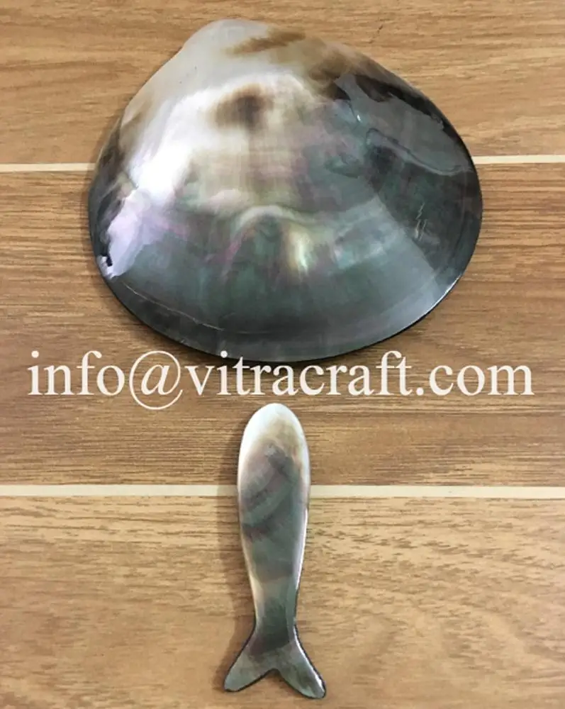 Set of BLACK  Mother Of Pearl Serving Caviar of Plate and Fish Spoon A33 Safe to use