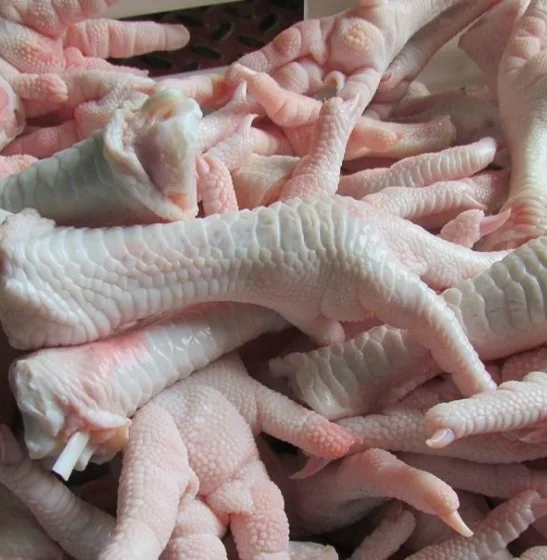 Chicken Feet / Frozen Chicken Paws Brazil / Fresh chicken wings and foot