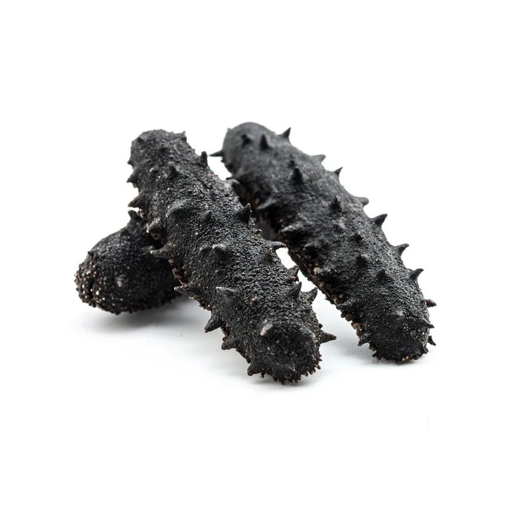 2021 Dried Sea Cucumber / White Teat Sea cucumber / Black Sand Sea cucumber