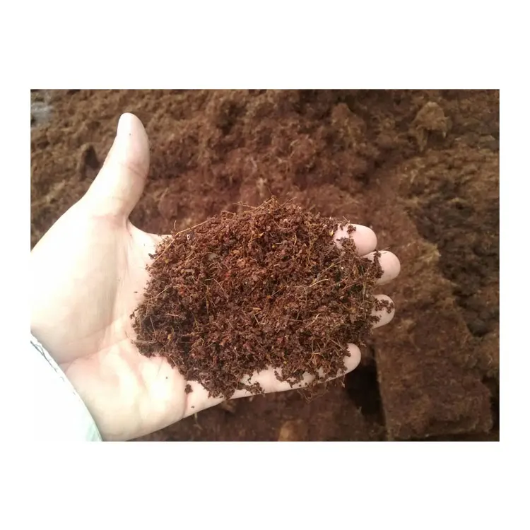 Direct Factory Sale on Bulk Selling Coco Fiber Material Coco Peat Block at Least Price