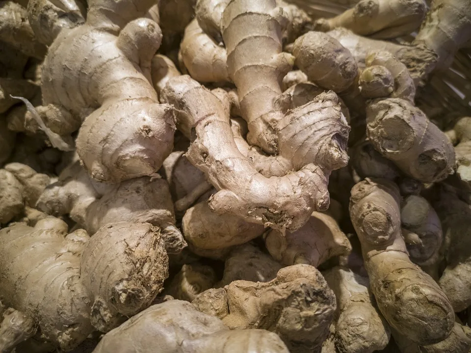 Ginger fresh ginger export high quality new crop in carton for wholesale fresh ginger AGENAS