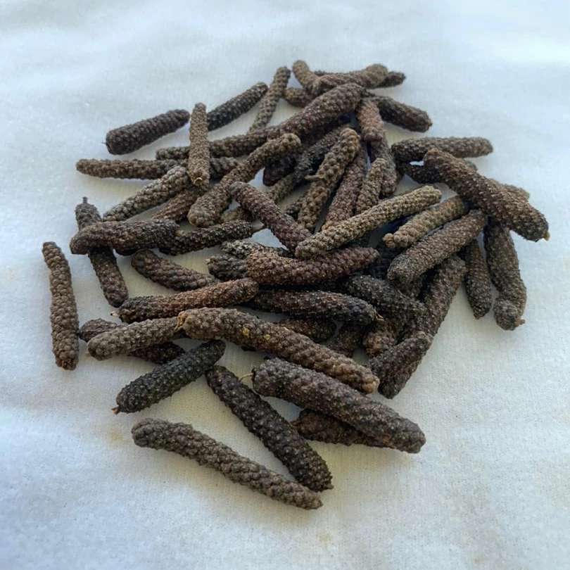 Dried Long Pepper