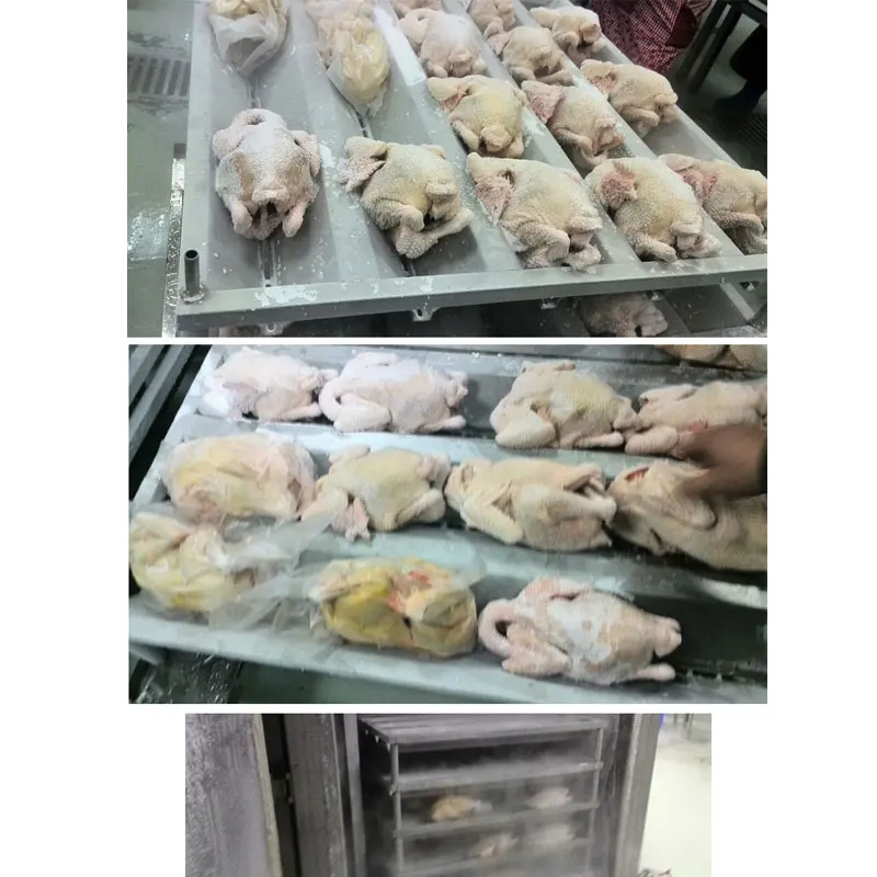 Freezer Cold Plate Blast Freezer Iqf Freezing Equipment For Durian Production Line