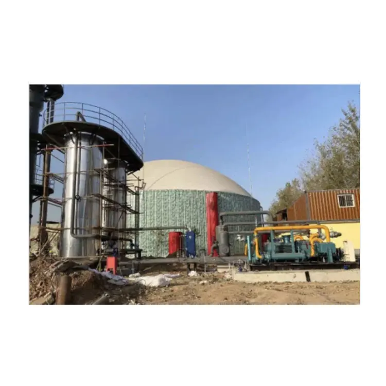 Carbon Removal 97% CH4 Content Biogas Chemical Desulfurization and Upgrading System Natural Gas