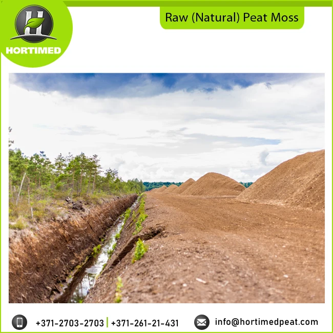  Raw Natural Sphagnum Peat Moss Wholesale