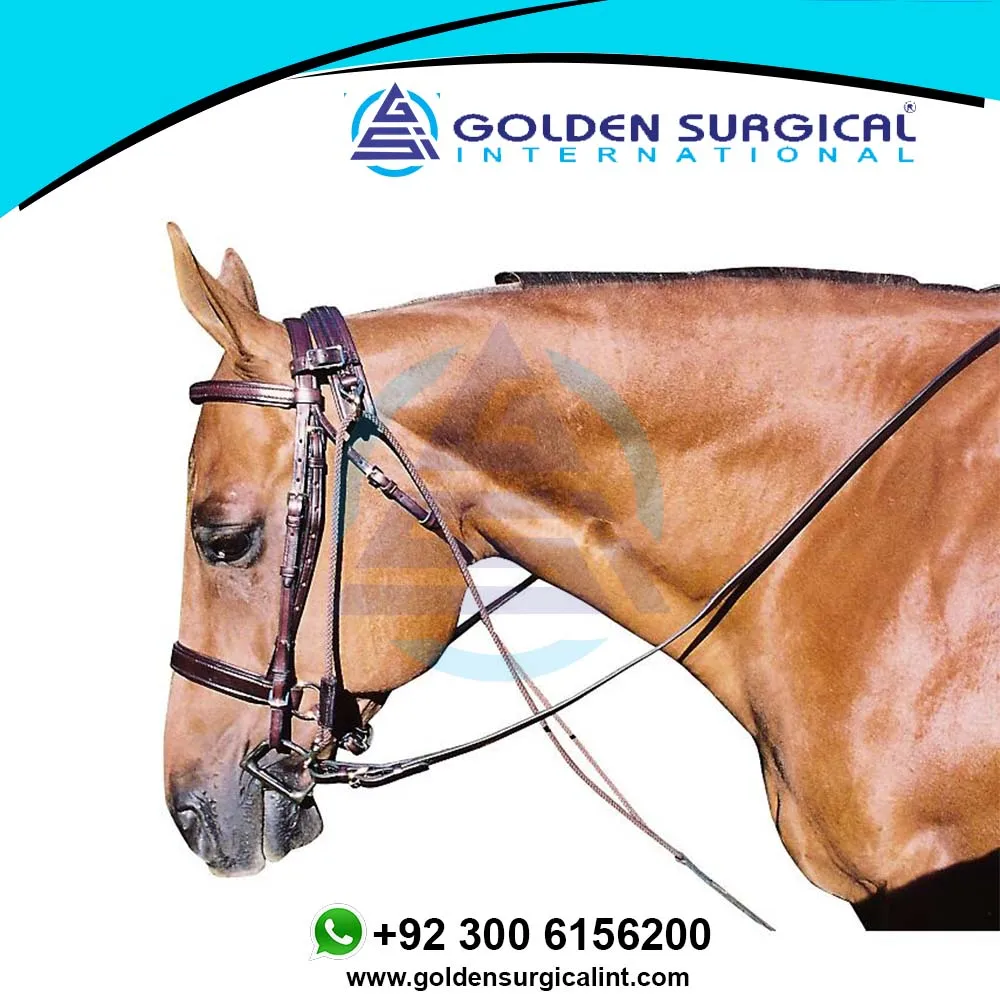 Оптовая продажа кожаные поводки для занятий спортом и уличной экипировки